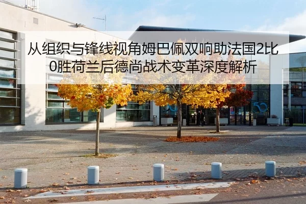 从组织与锋线视角姆巴佩双响助法国2比0胜荷兰后德尚战术变革深度解析